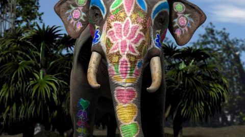 Indian Elephant by AM