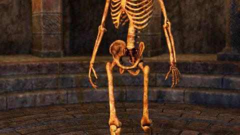 Midnight Skeleton for Genesis 8 Male