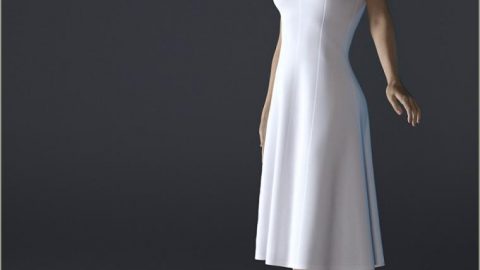 H&C dForce Simple Princess-line Outfit for Genesis 8 Female(s)