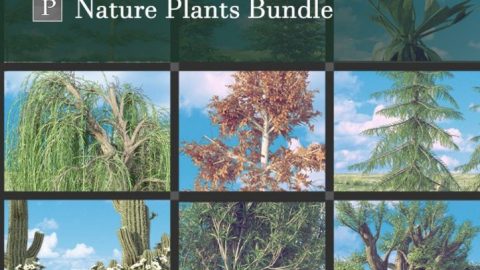 Nature Plants Bundle