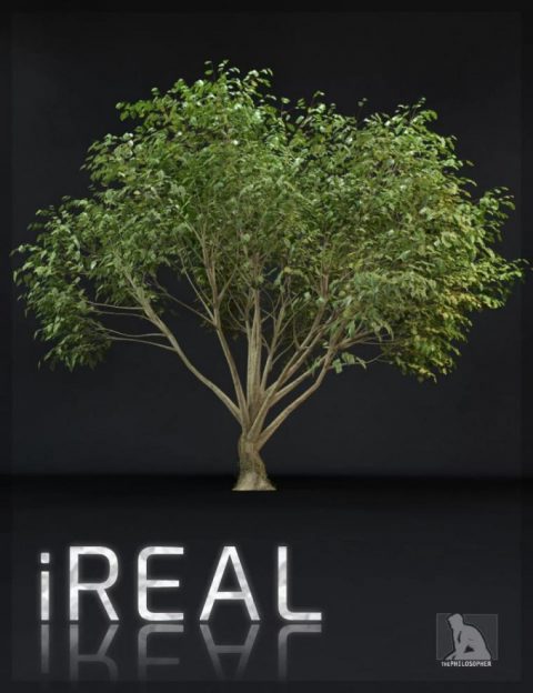 iREAL Animated Hybrid Tree