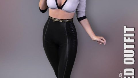 dForce Selected Outfit for Genesis 8 Females