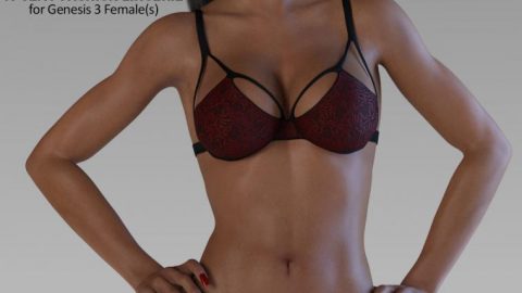 X-Sexy Fashion Lingerie for Genesis 3 Female(s)