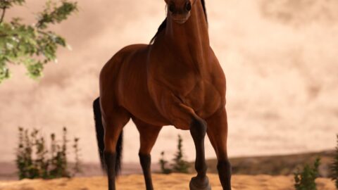 Mighty Stallion Poses for Daz Horse 3