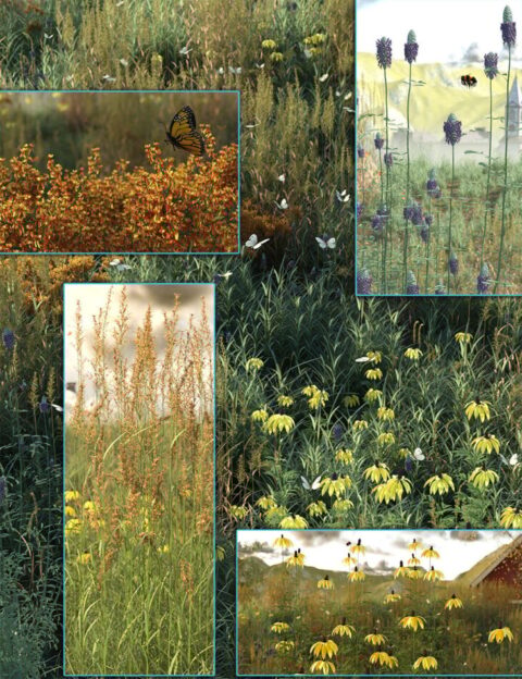 Prairie Grass and Flower Plant Collection